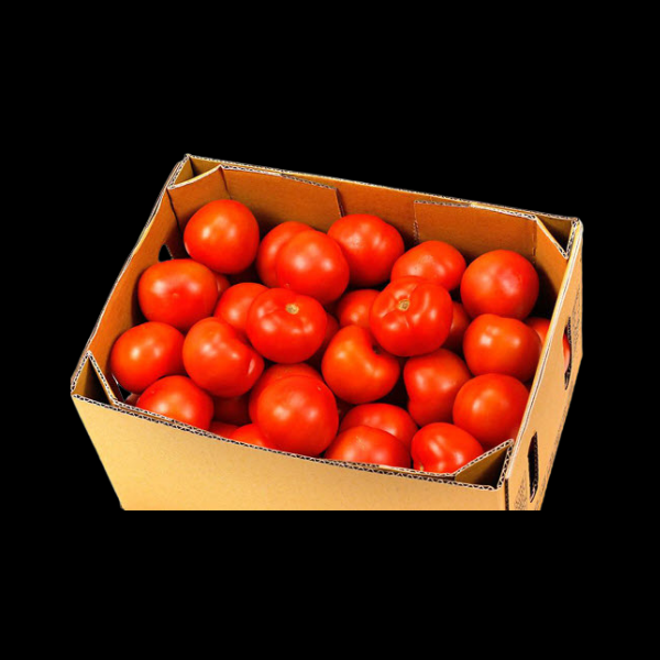 Tomatoes 10kg  CASE