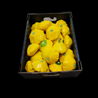 Squash Yellow 3kg  CASE