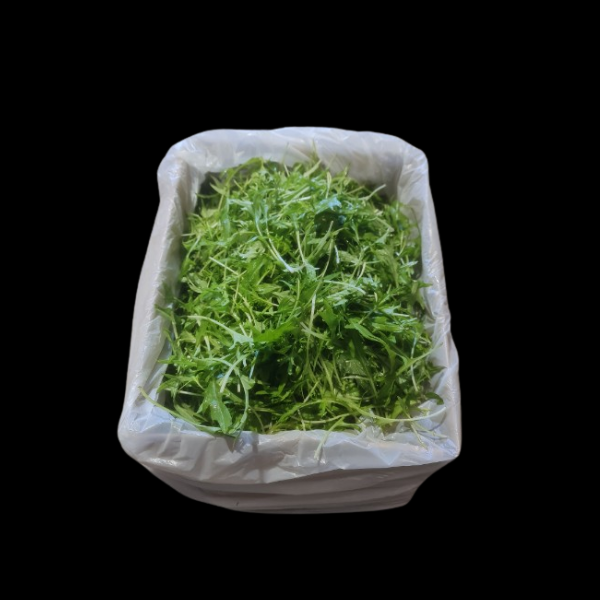 Saladcress Mizuna 1.5kg  CASE