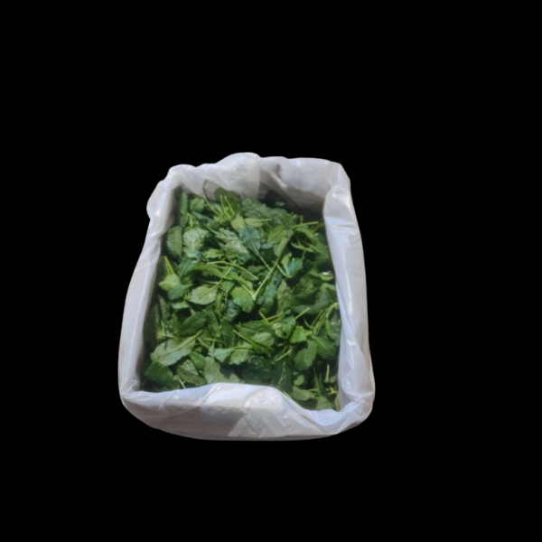 Saladcress Cavolo Nero 1.5kg  CASE