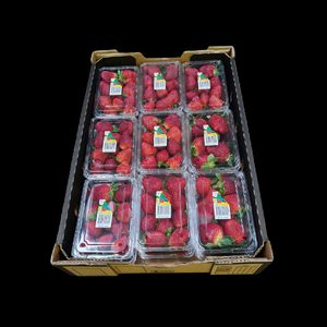 Strawberries  TRAY x18