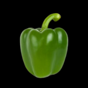 Capsicum Green Each