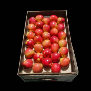 Apples Redland 12kg CASE