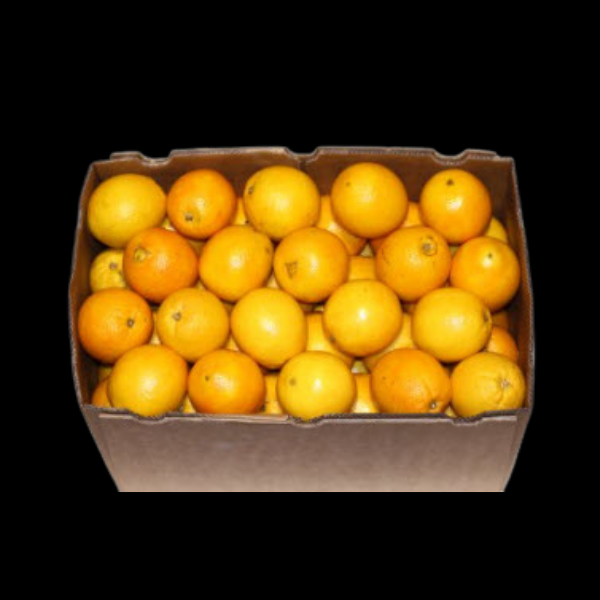 Oranges Juicing 14kg  CASE