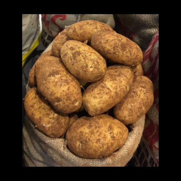 Potatoes Brushed 20kg  BAG
