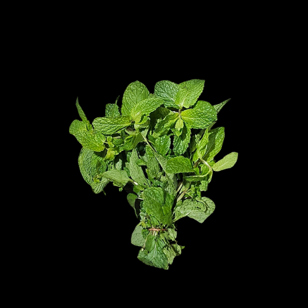 Mint Round Bunch - Peppermint