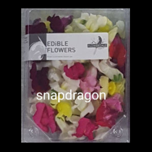 Flowers Edabile Snap Dragon Punnet