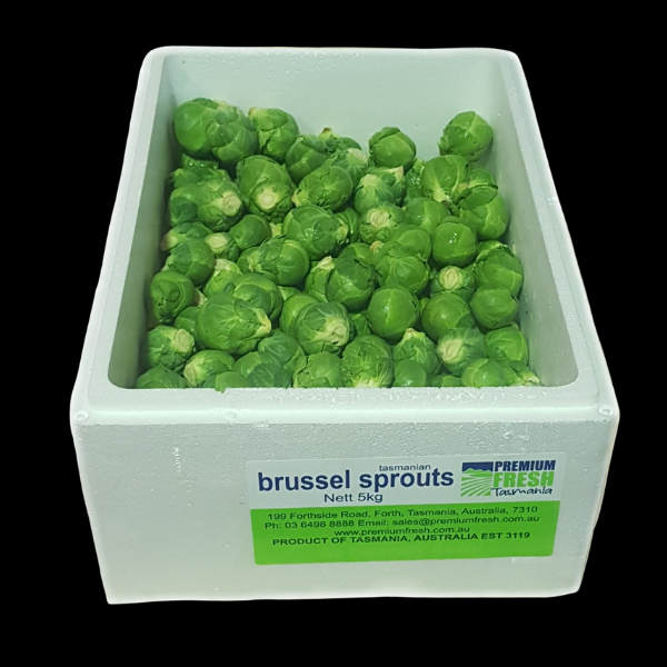 Brussel Sprouts 5Kg  CASE