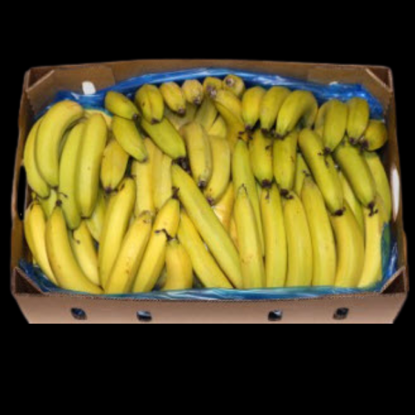 Bananas 13kg  CASE