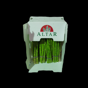 Asparagus x34  CASE