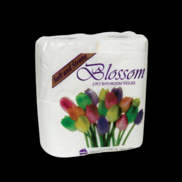 Toilet Paper Blossom Deluxe 2ply 4 Pack Bulk 48/Ctn - $34.90