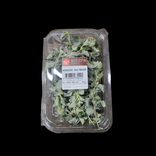 Native Salt Bush 80g Punnet (SO)