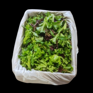 Saladcress Mesclun 1.5kg  CASE