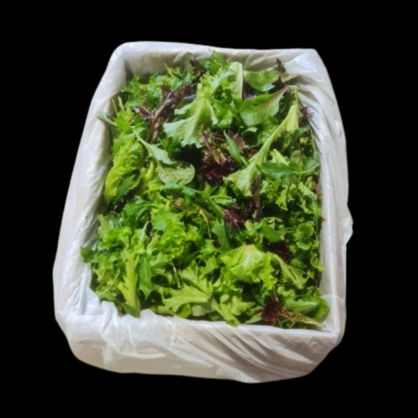 Saladcress Mesclun 1.5kg  CASE