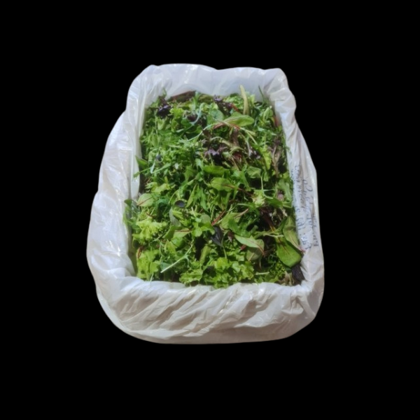 Saladcress Mesclun 3kg  CASE