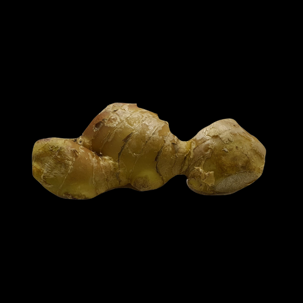 Ginger Fresh Knob Each