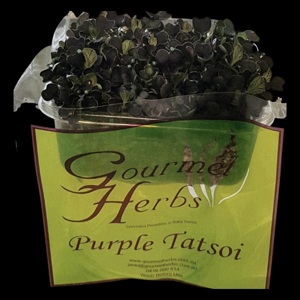 Herbs Living - Tatsoi Red Punnet