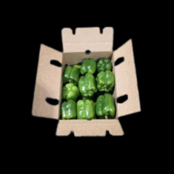 Capsicum Green CASE 5Kg