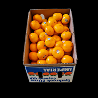Mandarins 9kg CASE