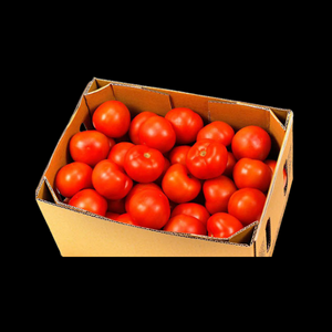 Tomatoes Gourmet Premium 10kg  CASE