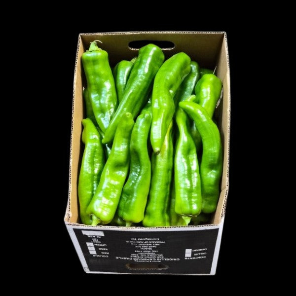 Capsicum Green Bullhorn CASE