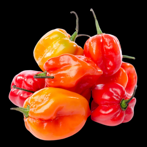 Chillies Habanero 100gms