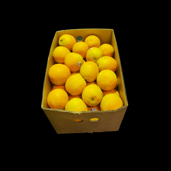 Oranges Valencias NEW SEASON AUS 18kg  CASE
