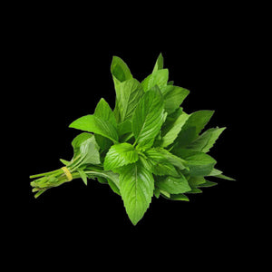 Mint Vietnamese Bunch