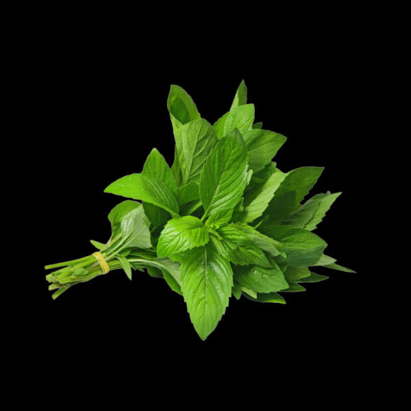 Mint Vietnamese Bunch