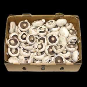 Mushrooms Flat Medium 4kg  CASE ( 5 to 7 cm )