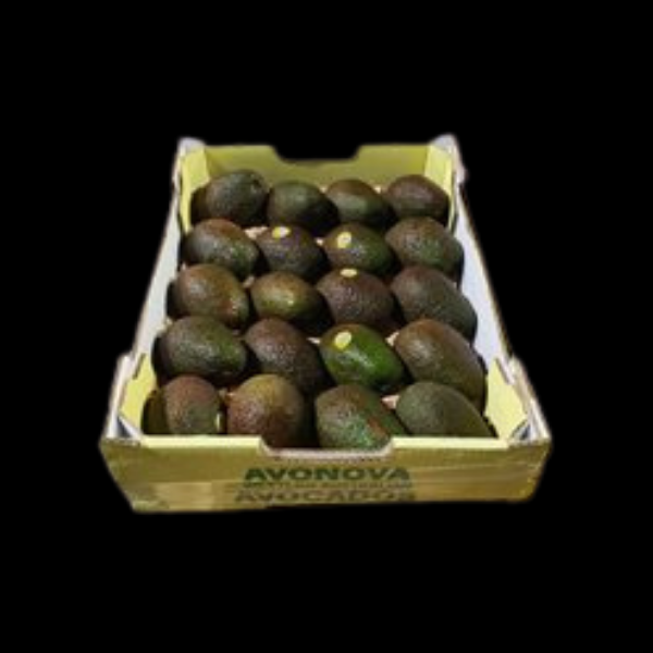 Avocados Large Size 20/23 Ripe No1  PREMIUM TRAY