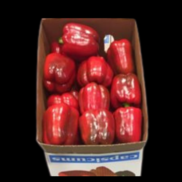 Capsicum Red 8Kg  CASE