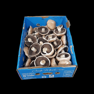 Mushrooms Portabello 3kg  CASE