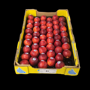 Nectarines 5kg  TRAY