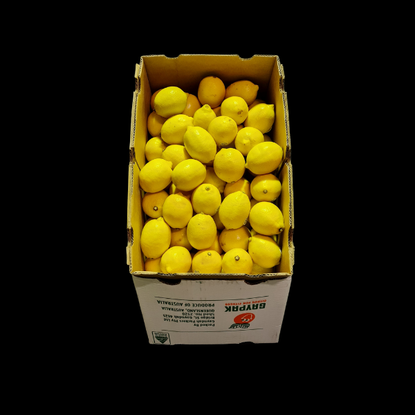 Lemons No1 PREMIUM 15kg  CASE