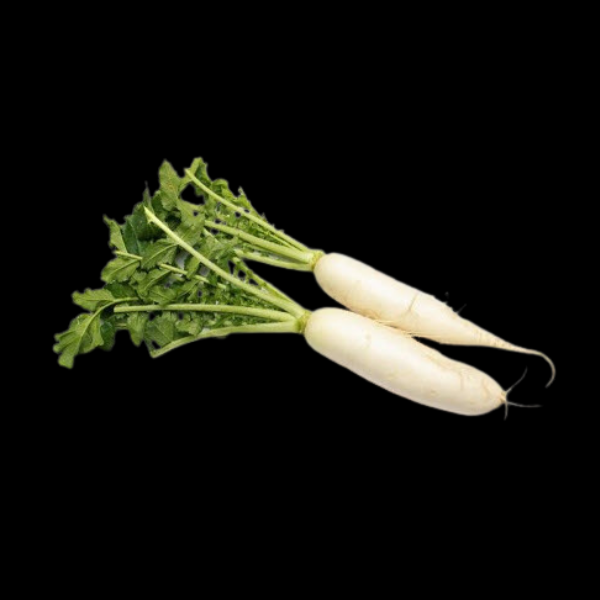 Radish Long White Bunch