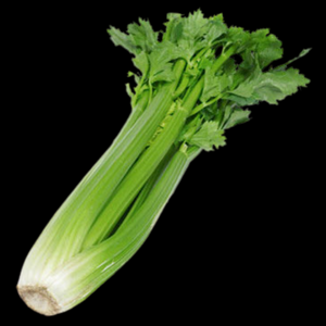 Celery Bunch