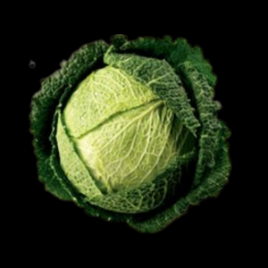 Cabbage Savoy Each