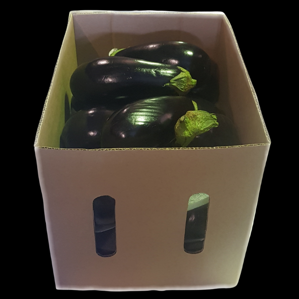 Eggplant No1 6kg  CASE