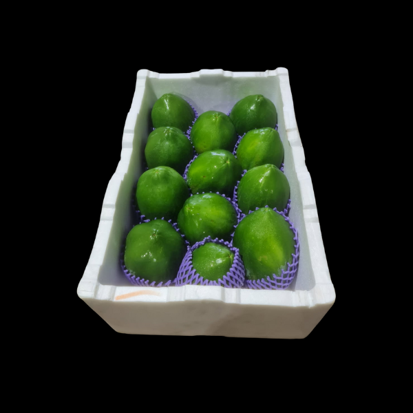 Papaya  Green FULL CASE ONLY