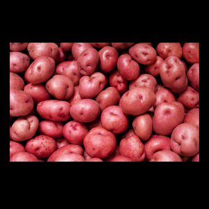 Potatoes Desiree Medium 20kg  BAG