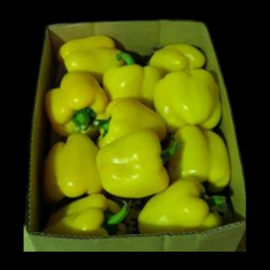 Capsicum Yellow 5Kg  CASE