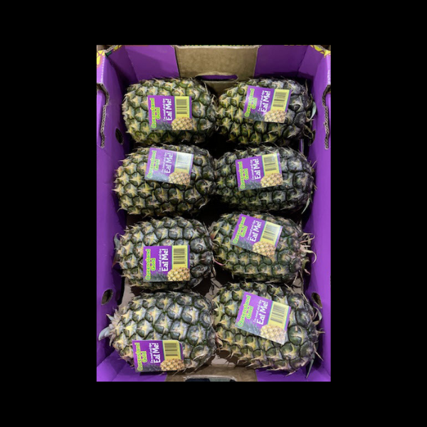 Pineapples No1 Premium x10  CASE