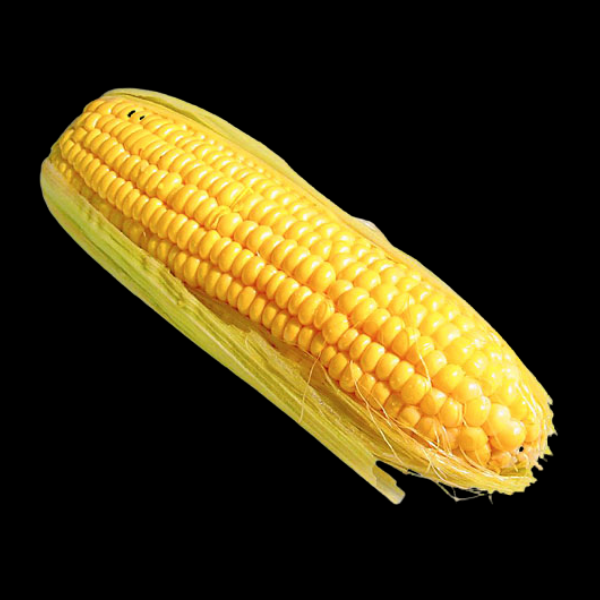 Corn Cob Each