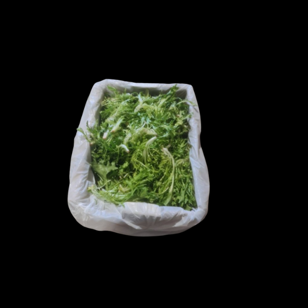 Saladcress Frisee 1.5kg  CASE