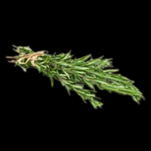 Rosemary Full Bunch