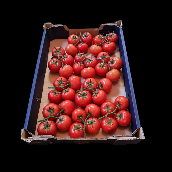 Tomatoes Truss 5kg TRAY