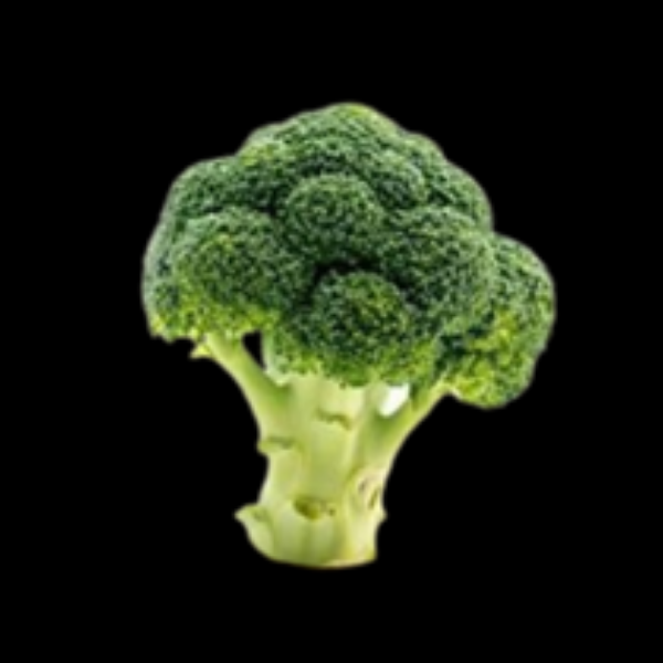 Broccoli Head Each