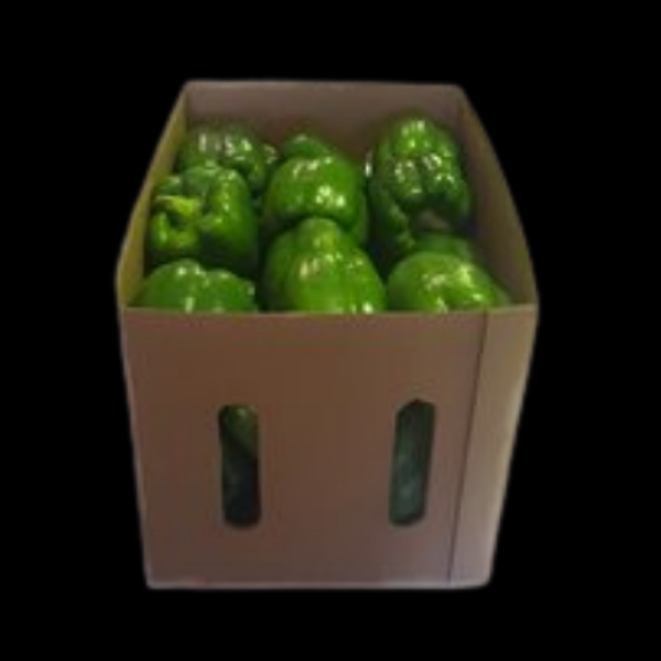 Capsicum Green 8Kg  CASE