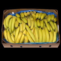 Bananas 15kg  CASE ( 2kg Extra )